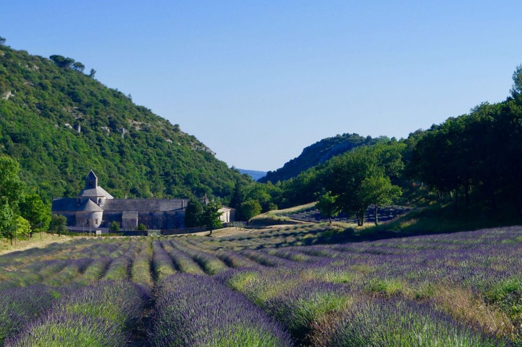 Provence Village Gordes Abbaye Senanque