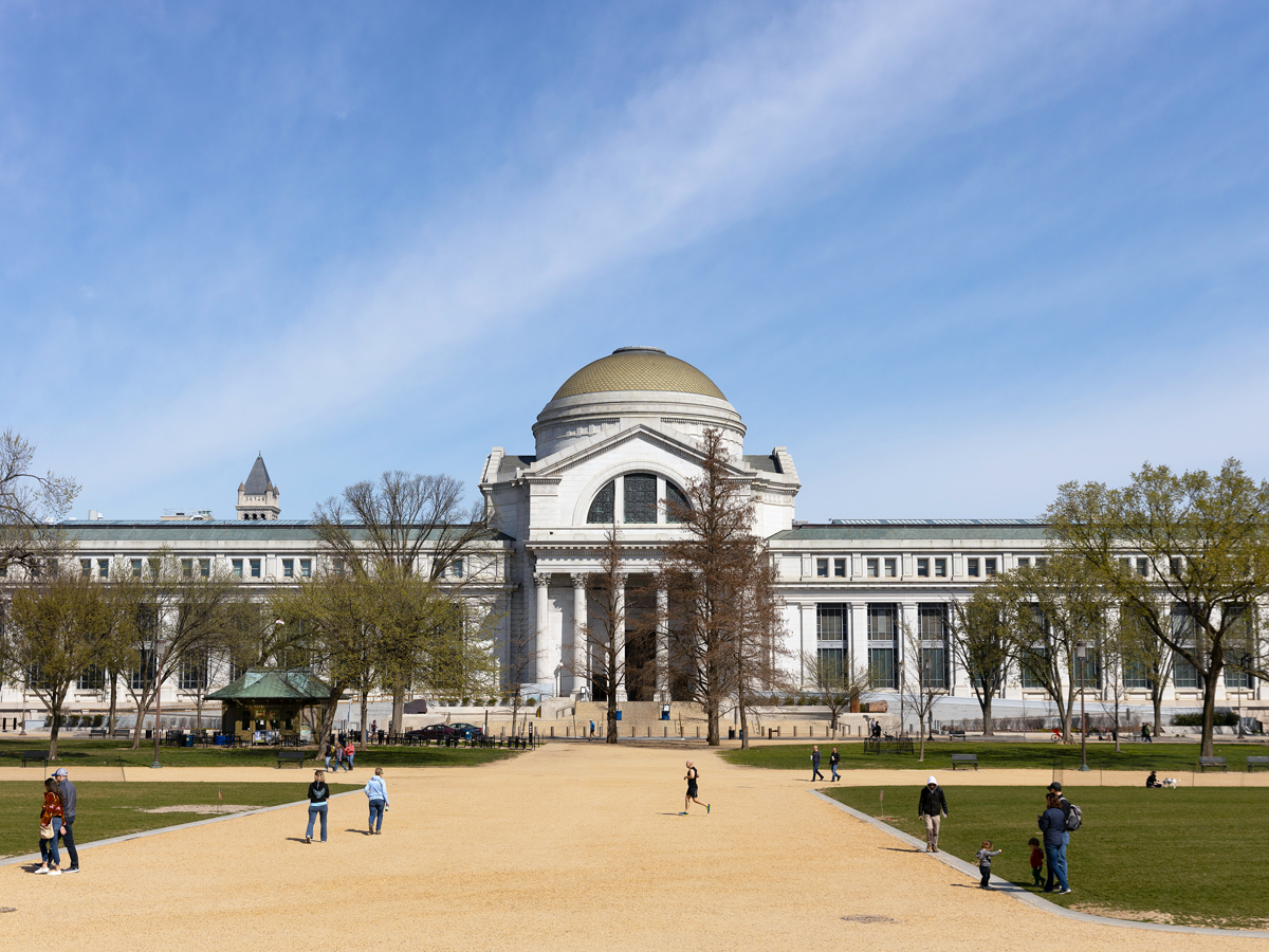 Top 10 des musées les plus visités aux États-Unis