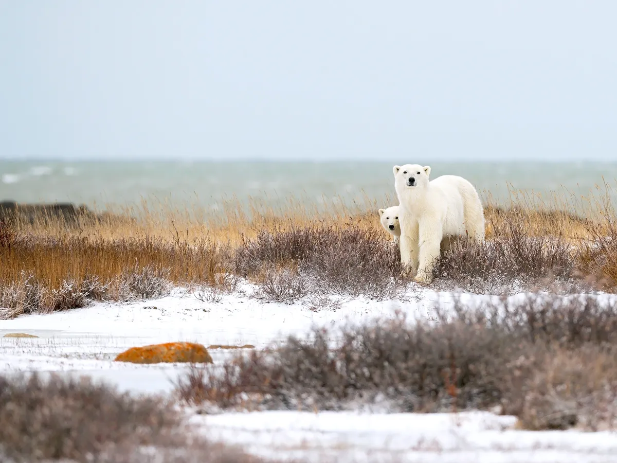 10 des endroits habités les plus froids de la planète