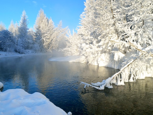 Arbres couverts de neige près de la rivière à Oymyakon, Russie
