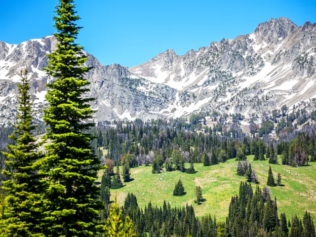 Montagnes enneigées et forêts près de Bozeman, Montana