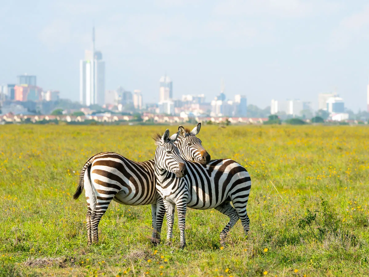 9 parcs nationaux situés dans les grandes villes