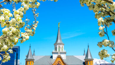 Photo of Les 10 villes américaines les moins adaptées aux allergies en 2026