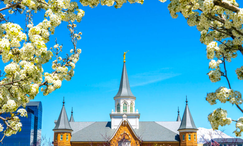 Les 10 pires villes américaines en matière d'allergies saisonnières en 2026